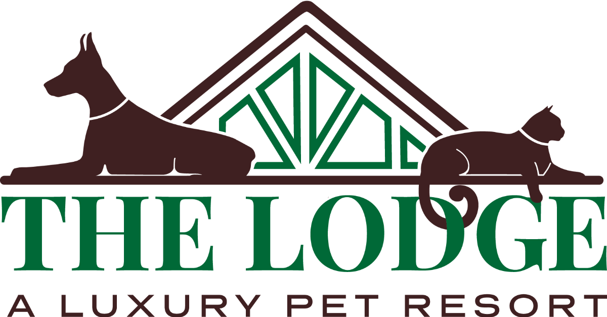 The Lodge at New Tampa logo